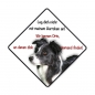 Preview: Aufkleber Border Collie 10x10